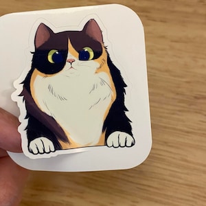 Fluffy Tortieshell Cat STICKER, Calico cat Sticker, Tortie Cat, Tabby with Red Cat