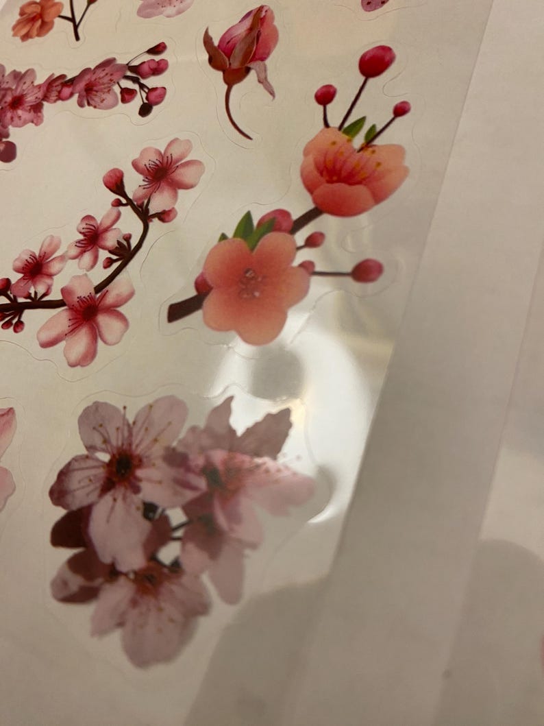 Clear Pink Cherry Blossoms Sticker Sheet, PET Washi Tape Cherry ...
