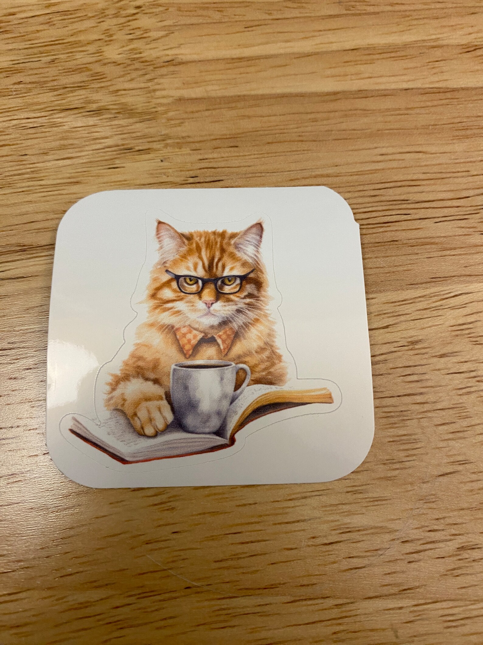 Cat Reading and Coffee Sticker, Red Cat Sticker, Cute Cat With Paper ...