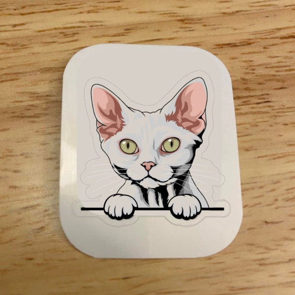 Devon Rex white Cat Sticker, Cat Sticker, Holographic option, Cute Cat Sticker, Peeking cat sticker, Devon Rex Cat sticker