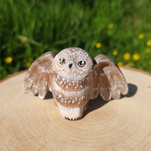 Héloïse the owl ready to fly away