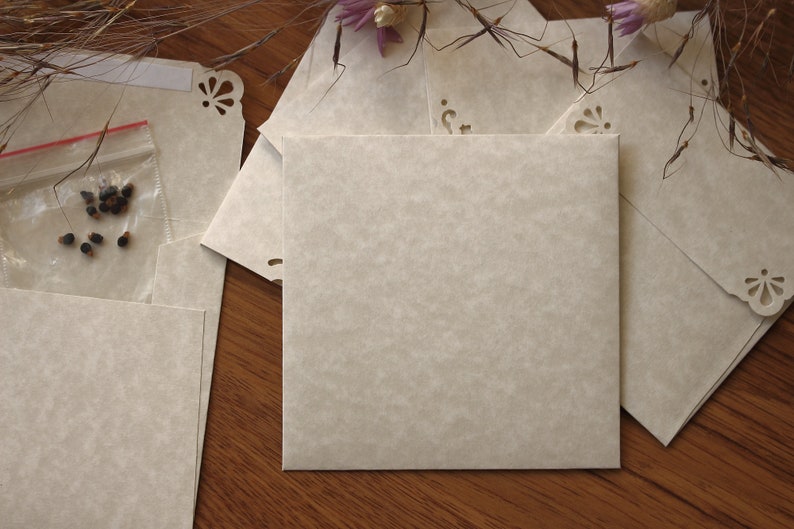 25 Mini Square Envelopes Parchment Natural paper Handmade Wedding Guest Book Alternative Wedding Favors Gift Card Envelopes image 5