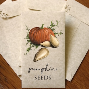Paquet de 25 enveloppes de graines de citrouille - Cadeaux pour baby shower - Personnalisé - Enveloppes de conservation de graines vides