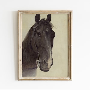 Horse Portrait, Horse Painting, Equestrian Painting, Horse Vintage Print, Horse Lover Gift / P168