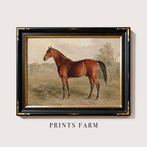 Vintage Horse Painting, Equestrian Art Print, Farmhouse Decor / P542