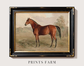 Vintage Horse Painting, Equestrian Art Print, Farmhouse Decor / P542