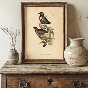 A vintage botanical illustration of two colorful birds perched on a branch with green leaves, framed in a rustic wooden frame. The illustration features detailed, realistic depictions of the birds with vibrant red, black, white, and blue plumage. The image is displayed on a wooden surface, flanked by two ceramic vases—one small with a narrow neck and a branch with delicate twigs, and one larger with a rounded shape and a distressed, speckled finish.