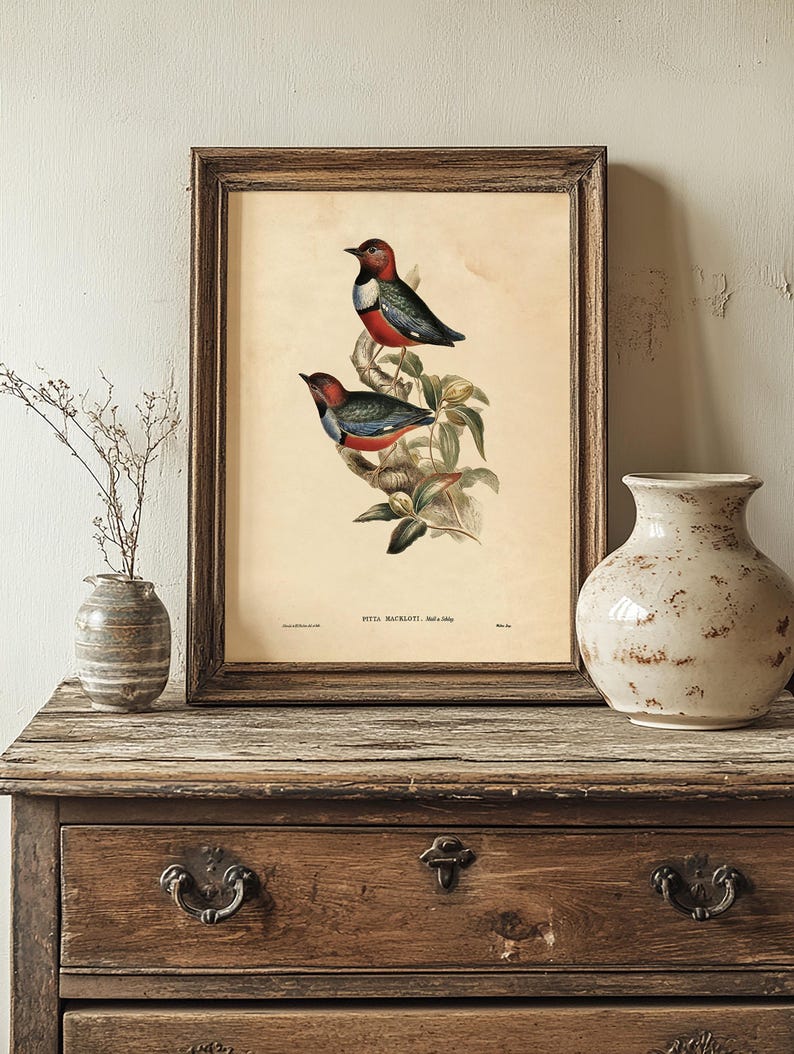 A vintage botanical illustration of two colorful birds perched on a branch with green leaves, framed in a rustic wooden frame. The illustration features detailed, realistic depictions of the birds with vibrant red, black, white, and blue plumage. The image is displayed on a wooden surface, flanked by two ceramic vases—one small with a narrow neck and a branch with delicate twigs, and one larger with a rounded shape and a distressed, speckled finish.