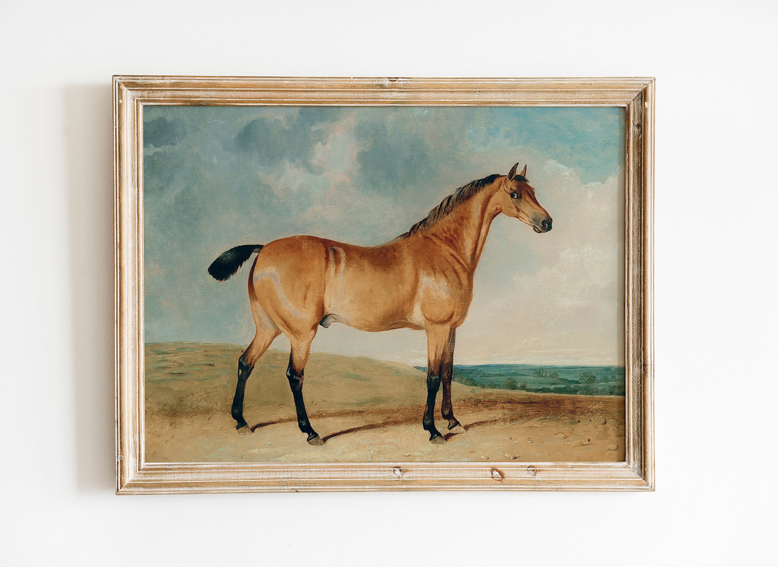 Horse Vintage Print Equestrian Painting Horse Portrait - Etsy