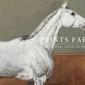 A detailed painting of a white horse with a gray mane stands against a muted green background. Text overlay reads "Prints Farm: Vintage Art Prints, Gifts for Any Occasion."
