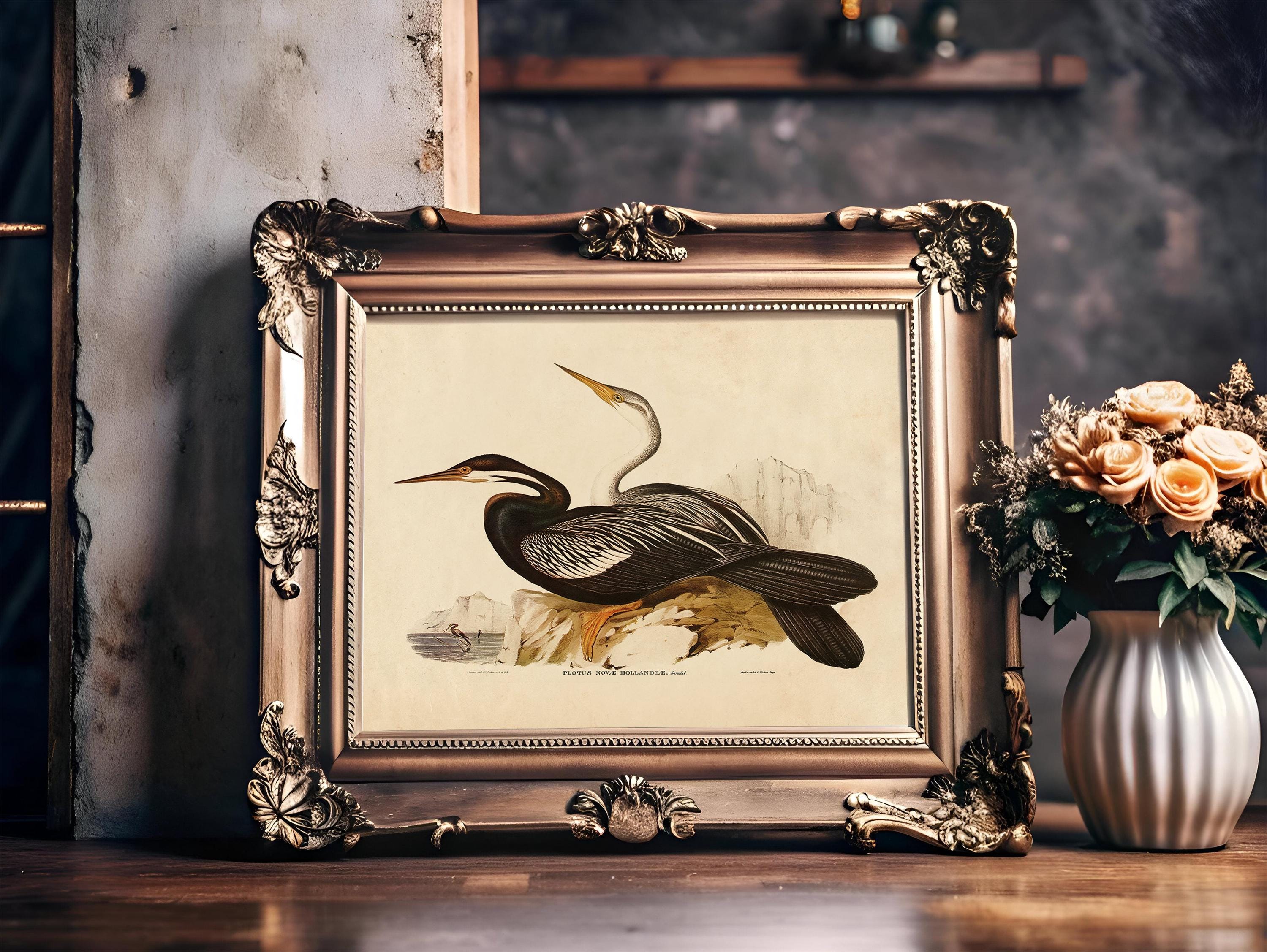Vintage Sea Bird Print, Audubon Wall Art, Beach House Decor / P370 - Etsy