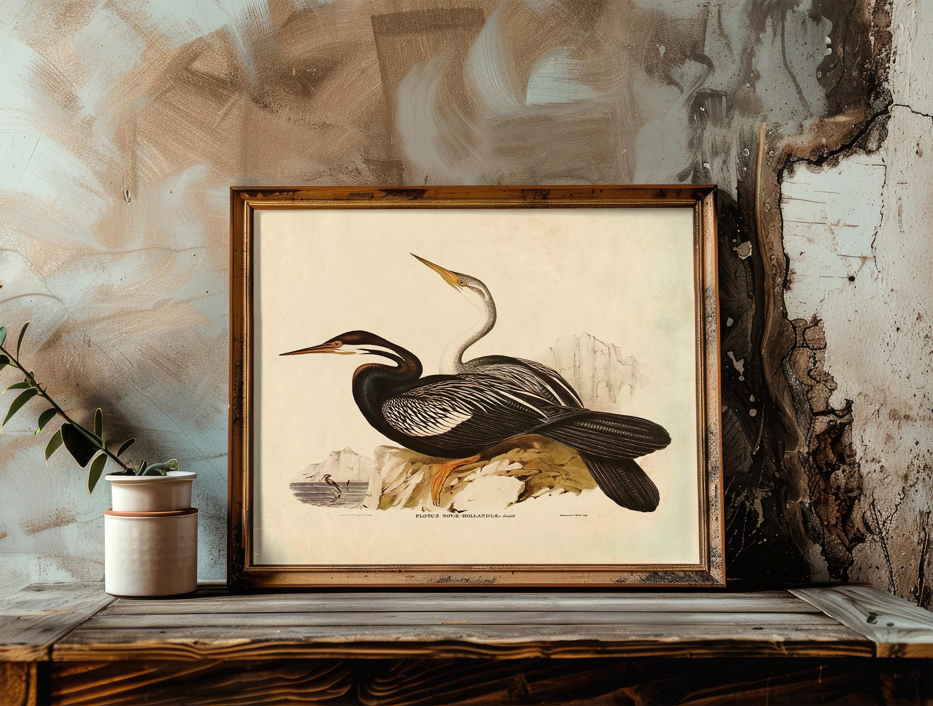 Vintage Sea Bird Print, Audubon Wall Art, Beach House Decor / P370 - Etsy
