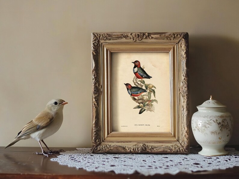 A realistic decorative bird figurine with tan and white feathers, black eyes, and an orange beak stands on a wooden surface covered with a white lace doily, facing a framed vintage botanical illustration of two colorful birds perched on a branch with green leaves. To the right of the frame, there is a white porcelain jar with a lid, adorned with delicate gold and gray floral patterns. The background is a plain, light-colored wall.