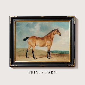 Framed painting of a brown horse standing in a landscape with a cloudy sky. The image is titled "Prints Farm" below the frame.