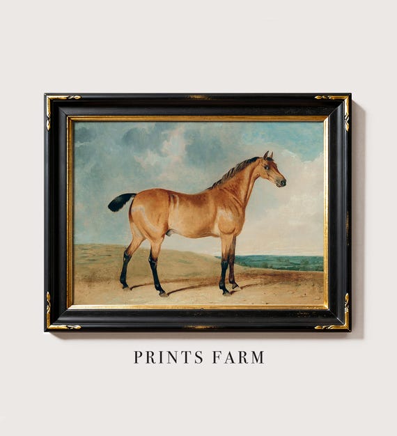 Vintage Horse Print, Equestrian Painting, Farmhouse Decor / P697
