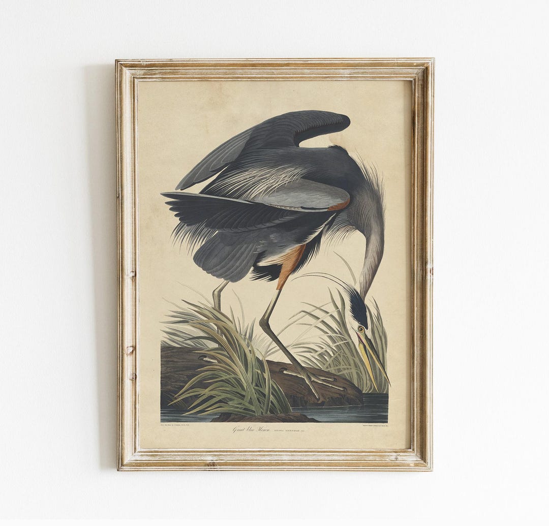 Vintage Blue Heron Framed Art
