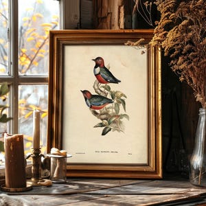A framed vintage illustration of two colorful birds perched on a branch with green leaves, placed on a rustic wooden surface near a window with frosted glass and yellow leaves outside. The scene is decorated with dried plants in a glass vase, a tall candle, and a small silver container, creating a cozy, antique-inspired display.
