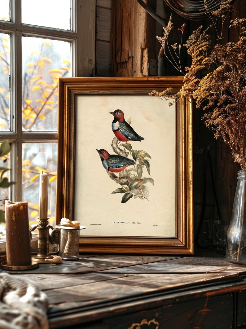 A framed vintage illustration of two colorful birds perched on a branch with green leaves, placed on a rustic wooden surface near a window with frosted glass and yellow leaves outside. The scene is decorated with dried plants in a glass vase, a tall candle, and a small silver container, creating a cozy, antique-inspired display.