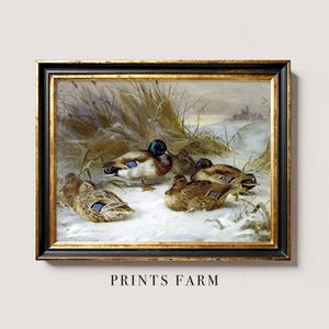 Framed painting of ducks resting on snowy ground with tall grasses in the background. The scene conveys tranquility and a wintry atmosphere.