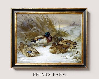 Ducks Painting, Vintage Bird Art Print, Cabin Wall Decor / P836