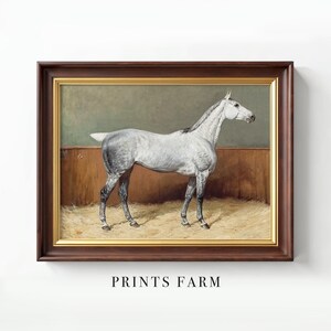Framed painting of a white horse standing in profile on a farm, set against a brown and green background. Text below reads "PRINTS FARM."