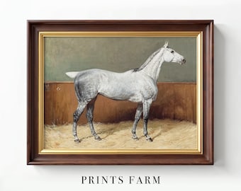 Vintage Equestrian Print, Horse Painting, Animal Wall Art / P696
