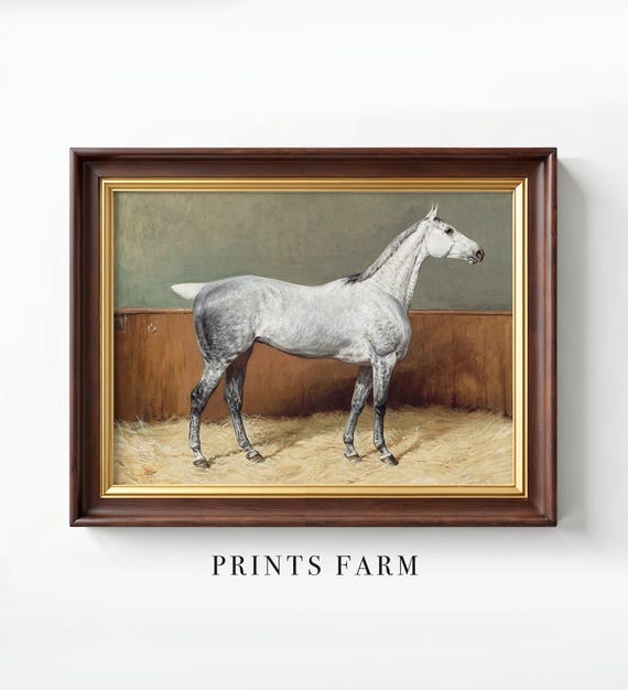 Vintage Equestrian Print, Horse Painting, Animal Wall Art / P696
