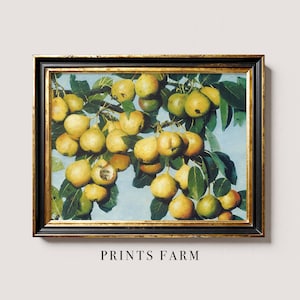 Framed painting of ripe pears hanging from branches against a blue sky, conveying a vintage and rustic feel. Caption below reads "Prints Farm."
