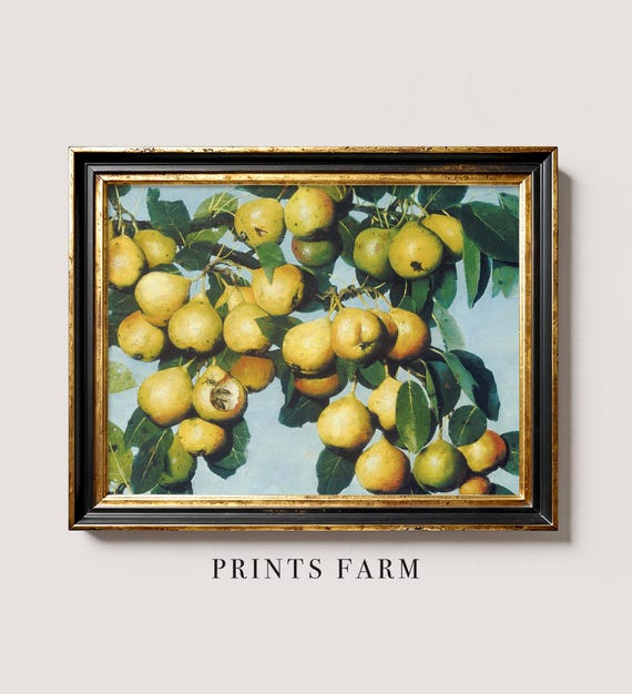 Vintage Pears Painting, Fruit Still Life Art, Kitchen Decor / P613