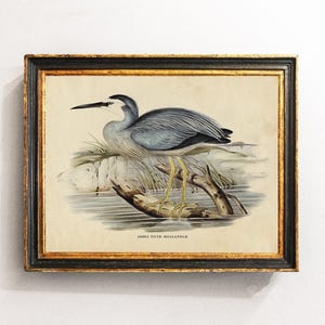 White Heron Print, Bird Wall Art, Bird Poster, Coastal Decor, Mailed Print / P408