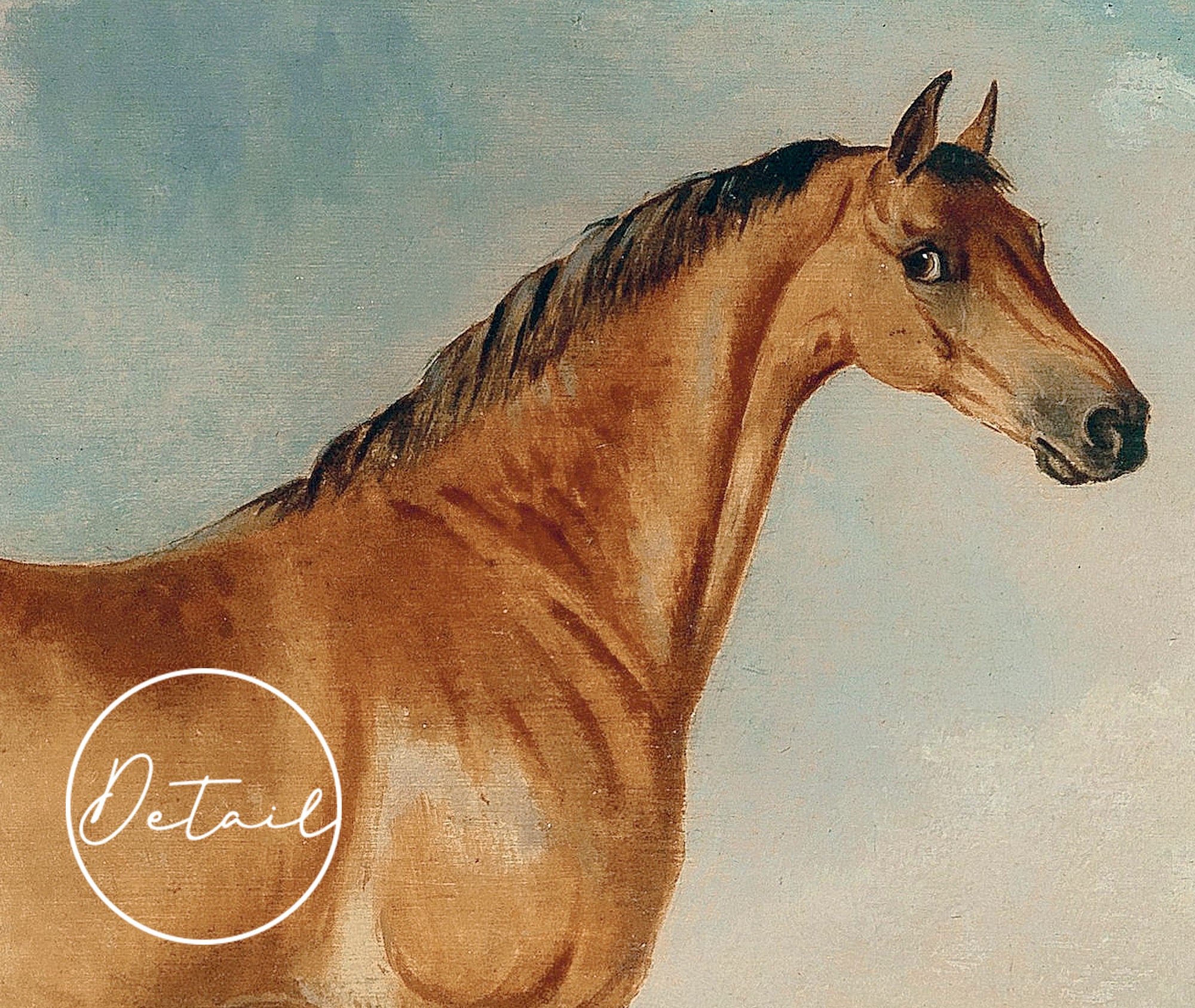 Horse Vintage Print Equestrian Painting Horse Portrait - Etsy