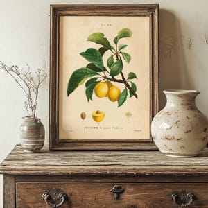 Framed botanical print of yellow plums sits on a rustic wooden dresser with a large, weathered ceramic vase and a small vase holding dried twigs. The tone is vintage and cozy.
