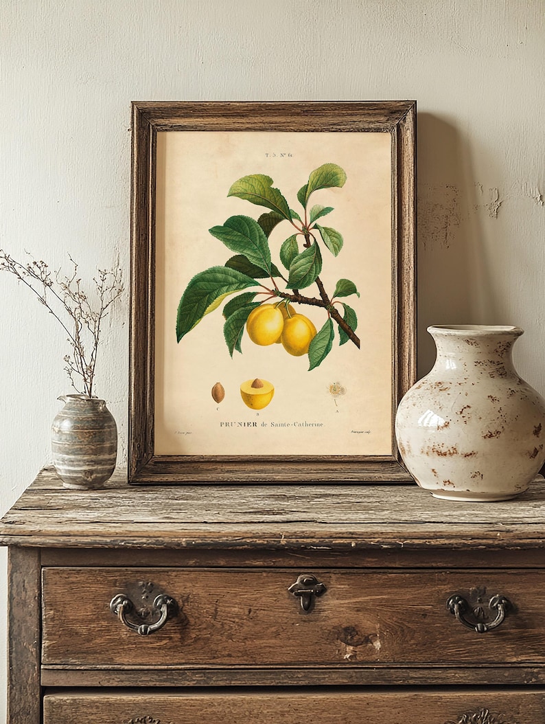 Framed botanical print of yellow plums sits on a rustic wooden dresser with a large, weathered ceramic vase and a small vase holding dried twigs. The tone is vintage and cozy.