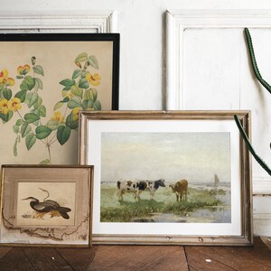 Framed art on a wooden floor: a botanical print with yellow flowers, a painting of cows in a field, and a bird illustration. A cactus adds greenery.