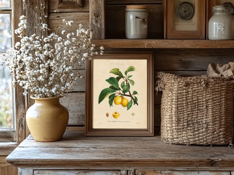 Framed botanical illustration of a plum branch with green leaves and ripe yellow plums. The style is vintage with elegant detail. The words "Prunier de Sainte-Catherine" are below.