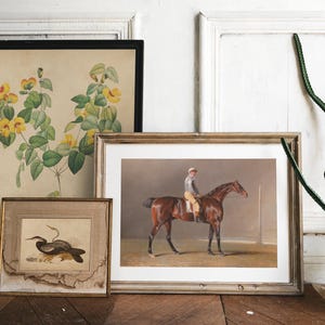 Framed art on a wooden floor against a white wall: floral print, horse rider, and bird. Elegantly composed; a tall green plant on the right.