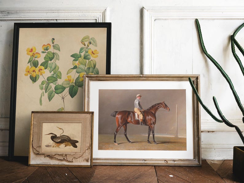 Framed art on a wooden floor against a white wall: floral print, horse rider, and bird. Elegantly composed; a tall green plant on the right.