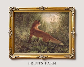 Red Fox Painting, Rustic Woodland Print, Animal Wall Decor / P852