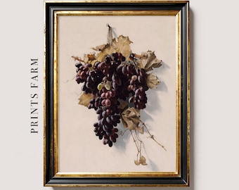 Grape Still Life Print, Rustic Kitchen Wall Art / P233