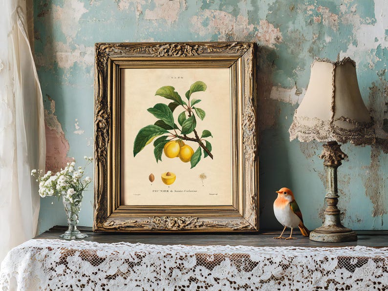 A vintage botanical illustration of yellow plums in an ornate frame on a lace-covered table. Nearby is a small bird figurine, a lace lampshade, and a vase with white flowers, set against a weathered teal wall, evokes a nostalgic, rustic ambiance.