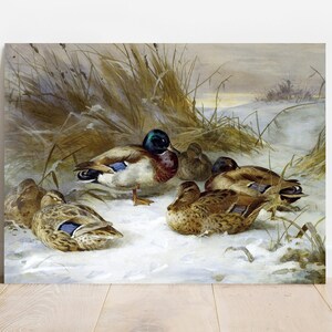 A painting of a group of ducks in a snowy landscape. The ducks are brown, green, and white, and they are huddled together in the snow. The background is a blurry landscape of trees and snow.