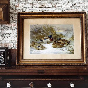 A framed painting of a group of ducks in a snowy landscape. The ducks are brown, white, and gray with green heads. The painting is set in a gold frame and is hanging on a wall above a vintage piano.