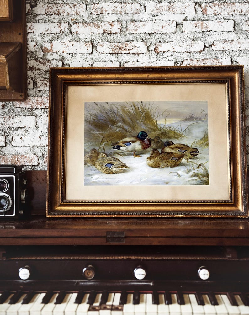 A framed painting of a group of ducks in a snowy landscape. The ducks are brown, white, and gray with green heads. The painting is set in a gold frame and is hanging on a wall above a vintage piano.