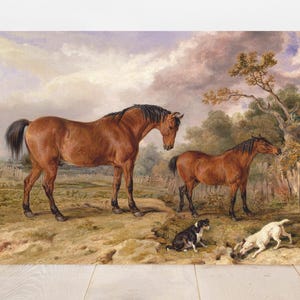 Two brown horses stand on a grassy path, with two playful dogs nearby. The background features a wooden fence, trees, and a partly cloudy sky.