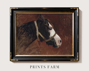 Equestrian Painting, Horse Portrait Print, Cottagecore Wall Art / P556