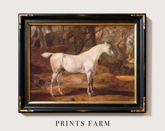 Vintage White Horse Painting, Equestrian Art Print
