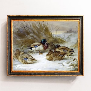 Ducks Painting, Bird Painting, Vintage Art, Countryside Print, Cabin Decor, Hunter Gift / P836
