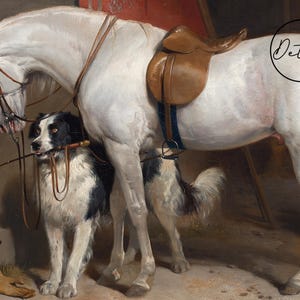 A white horse with a brown saddle and bridle stands in a stable with two dogs. One dog is black and white and the other is brown. The horse is wearing a leather bridle and a brown saddle. The dogs are looking at the horse.