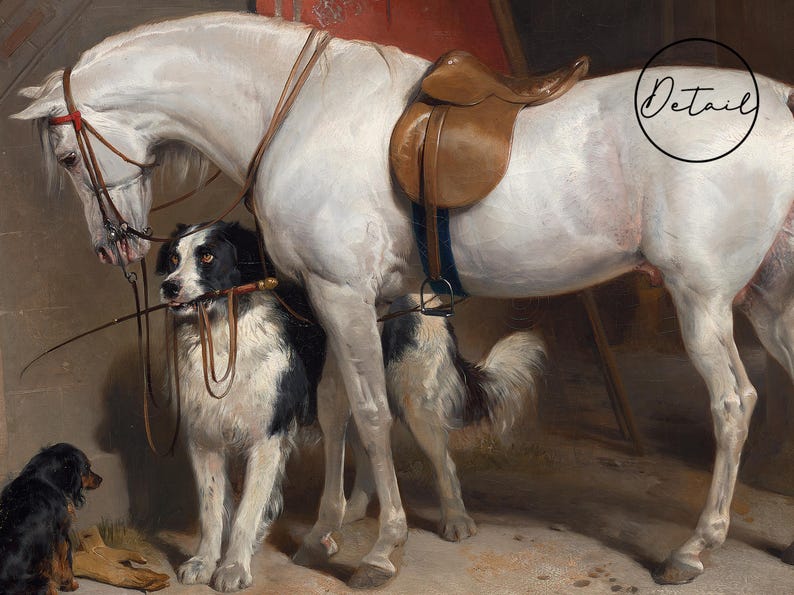 A white horse with a brown saddle and bridle stands in a stable with two dogs. One dog is black and white and the other is brown. The horse is wearing a leather bridle and a brown saddle. The dogs are looking at the horse.