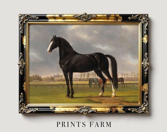 Horse Portrait Print, Equestrian Painting, Rustic Wall Art / P189